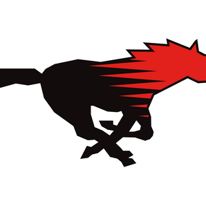 Shallowater-Mustangs - Görsel 1