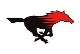Shallowater-Mustangs - Görsel 1