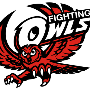 Silverton-Owls - Görsel 1
