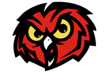 Silverton-Owls - Görsel 2