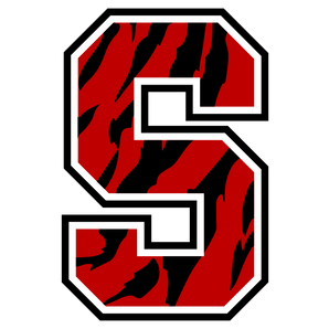 Slaton-Tigers - Görsel 1