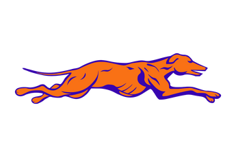 Slidell-Greyhounds - Görsel 1
