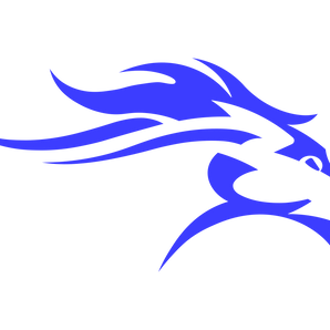 Slocum-Mustangs - Görsel 1