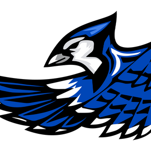 Snook-Bluejays - Görsel 1