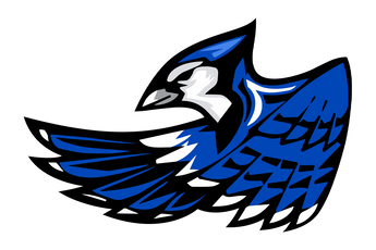 Snook-Bluejays - Görsel 1