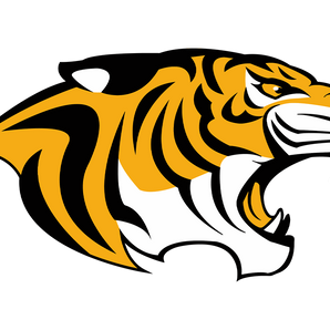 Snyder-Tigers - Görsel 1