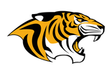 Snyder-Tigers - Görsel 1