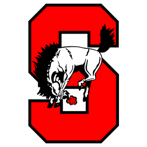 Sonora-Broncos - Görsel 1