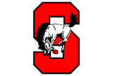 Sonora-Broncos - Görsel 1