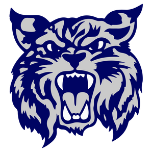 South-San-Antonio-Bobcats - Görsel 1