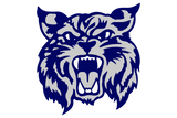 South-San-Antonio-Bobcats - Görsel 1