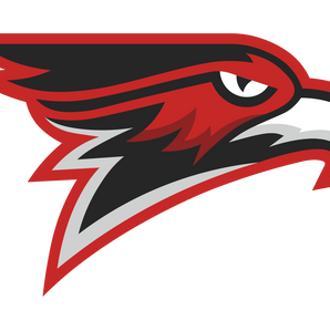 Spring-Founders-Christian-Falcons - Görsel 1