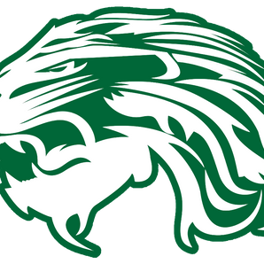 Spring-Lions - Görsel 1