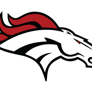 Spring-Westfield-Mustangs - Görsel 1