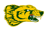 Springlake-Earth-Wolverines - Görsel 1