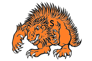 Springtown-Porcupines - Görsel 1