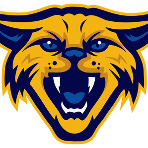 Sunray-Bobcats - Görsel 1