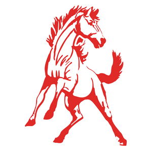 Sweetwater-Mustangs - Görsel 1