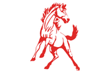 Sweetwater-Mustangs - Görsel 1