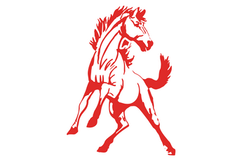 Sweetwater-Mustangs - Görsel 1