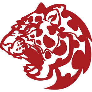 Texarkana-Liberty-Eylau-Leopards - Görsel 1
