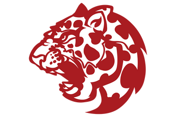 Texarkana-Liberty-Eylau-Leopards - Görsel 1