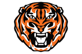 Texarkana-Texas-Tigers - Görsel 1