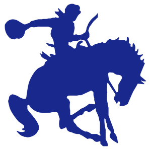 Tilden-McMullen-County-Cowboys - Görsel 1
