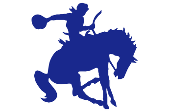 Tilden-McMullen-County-Cowboys - Görsel 1