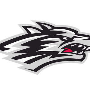 Tornillo-Coyotes - Görsel 1
