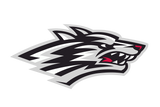 Tornillo-Coyotes - Görsel 1