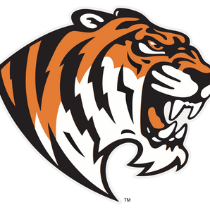 Trinity-Tigers - Görsel 1