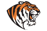 Trinity-Tigers - Görsel 1