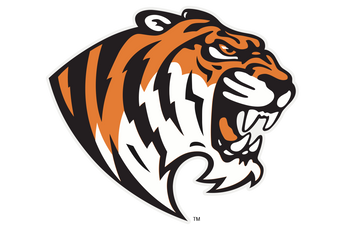Trinity-Tigers - Görsel 1