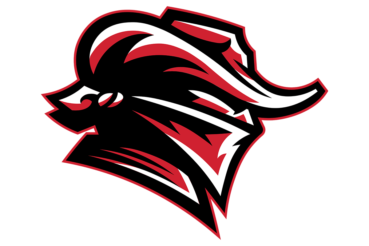 Tyler Ridge Logo Tyler Legacy Red Raiders DTF Transfer | Texas High School Logo – Iris DTF