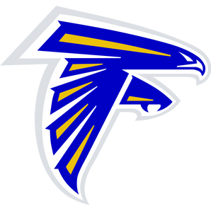 Veribest-Falcons - Görsel 1