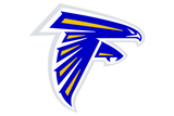 Veribest-Falcons - Görsel 1