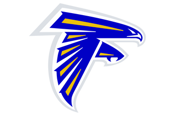 Veribest-Falcons - Görsel 1