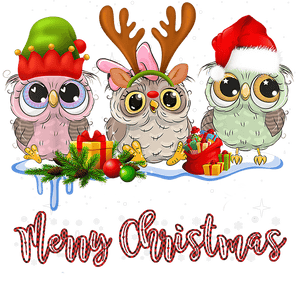 Merry Christmas Owl Design - DTF Ready To Press