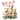 Bah-la Christmas Sheep Design - DTF Ready To Press