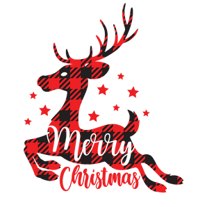 Merry Christmas DTF Design - Ready to Press V8 | Iris DTF