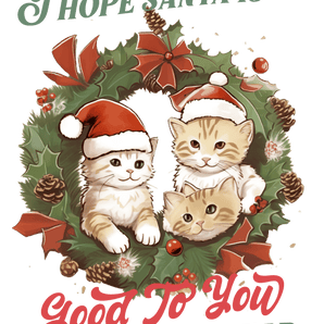 I Hope Santa Is Good to You Design | Iris DTF