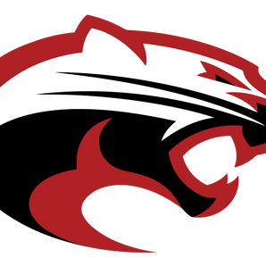 Wallis-Brazos-Cougars - Görsel 1