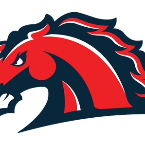 Waxahachie-Life-Mustangs - Görsel 1