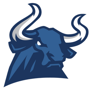 Wichita-Falls-Memorial-Mavericks - Görsel 1