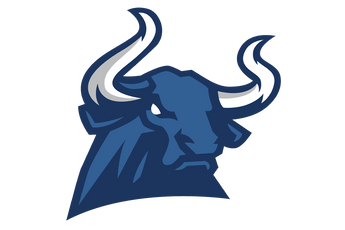Wichita-Falls-Memorial-Mavericks - Görsel 1