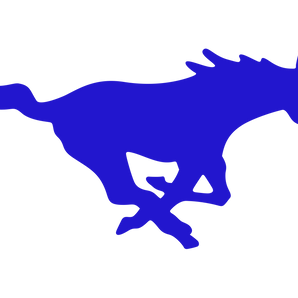 Wildorado-Mustangs - Görsel 1