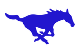 Wildorado-Mustangs - Görsel 1