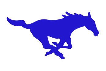 Wildorado-Mustangs - Görsel 1