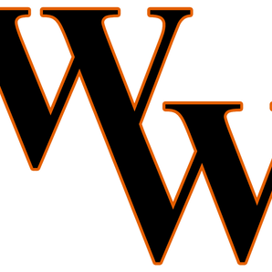 Wink-Wildcats - Görsel 1